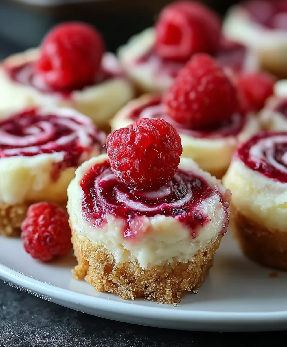 Easy Raspberry Cheesecake Bites Recipe-Sweet Treat